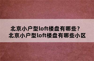 北京小户型loft楼盘有哪些？ 北京小户型loft楼盘有哪些小区